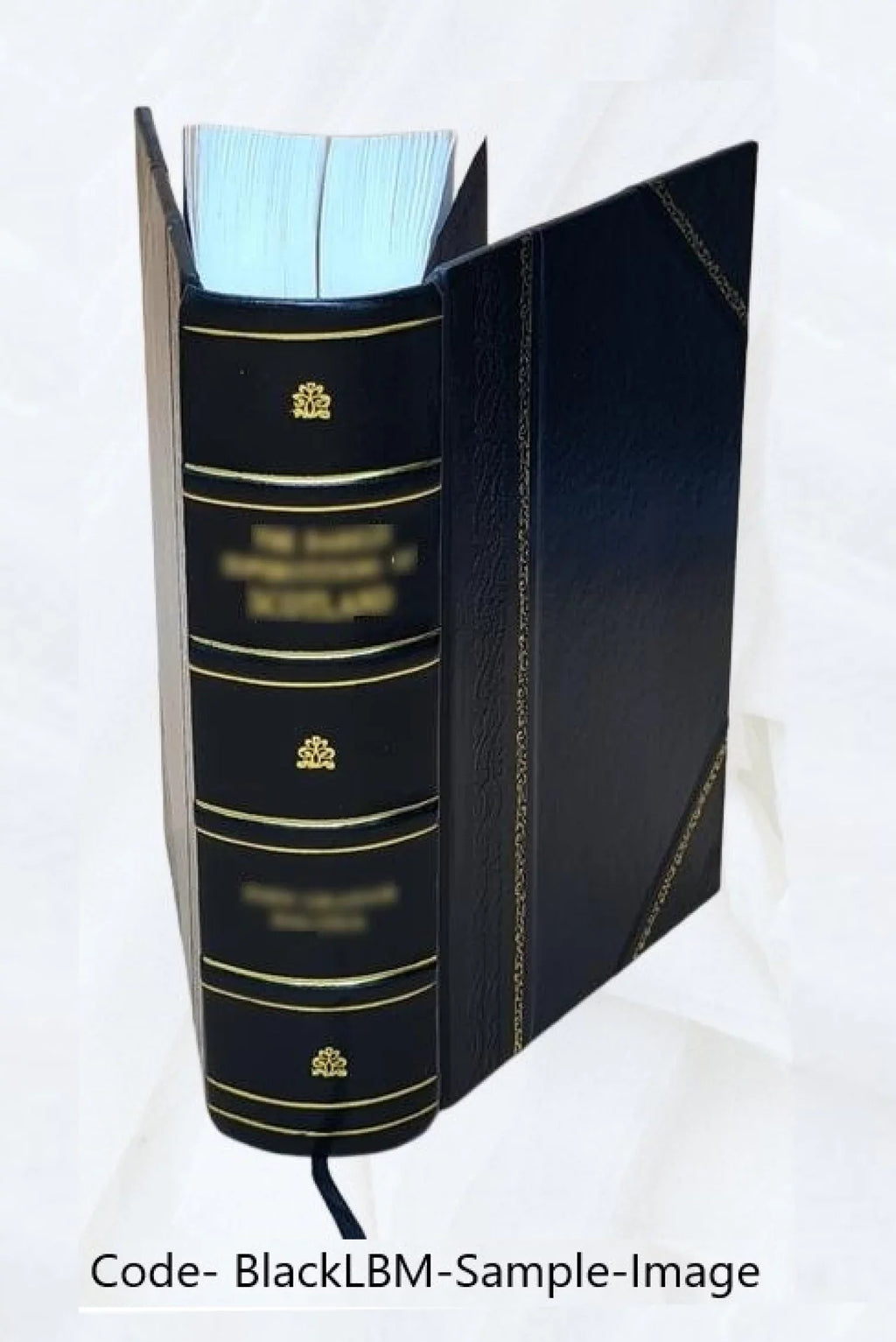 no.17-25 Volume Bound] 1974 Highway [Leather research news.