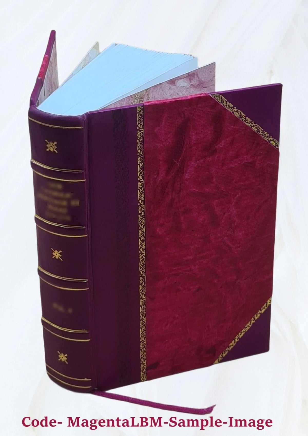 no.17-25 Volume Bound] 1974 Highway [Leather research news.