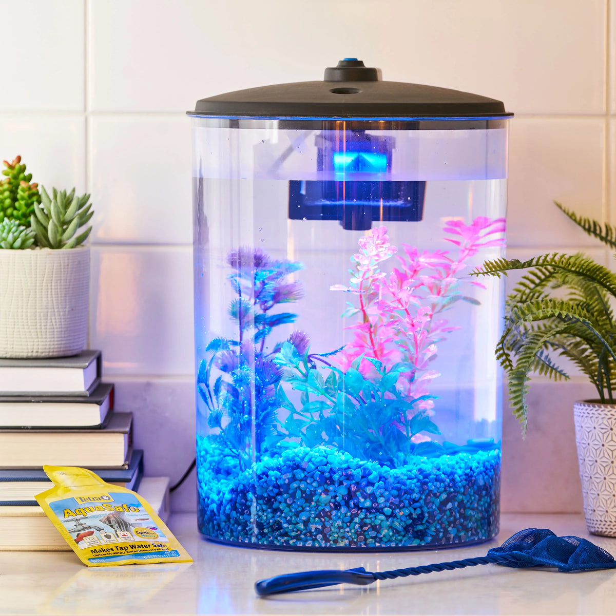 3-Gallon LED Power Aqua and Plastic Light Culture Filter Aquarium with