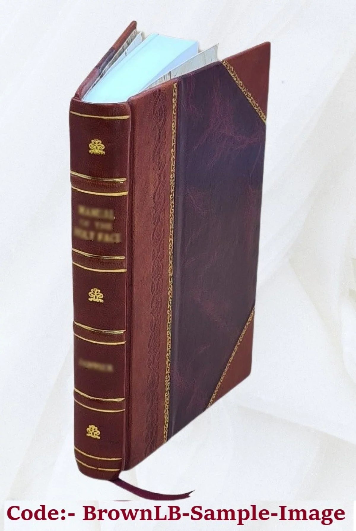 Bound] Barberini Maphaei Vrbani card. pp. [Leather nunc 1631 Poemata 8. S.R.E.